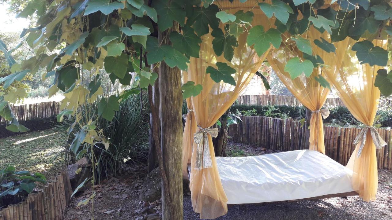 斯帕科霍利斯提克小屋酒店 新彼得罗波利斯 外观 照片